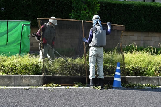 サンプルイメージ